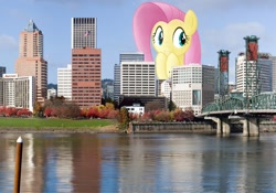 Size: 1600x1120 | Tagged: safe, artist:flutterbatismagic, fluttershy, pony, giant pony, highrise ponies, irl, macro, oregon, photo, ponies in real life, portland