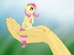 Size: 1600x1200 | Tagged: safe, artist:salemcat, fluttershy, equestria girls, cute, hand, in goliath's palm, micro, my little pony, raised hoof, self ponidox, shyabetes, sitting, solo, tiny