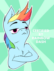 Size: 1900x2487 | Tagged: safe, artist:azerta56, rainbow dash, pegasus, pony, chest fluff, fluffy, meme, solo