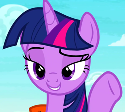 Size: 800x720 | Tagged: safe, screencap, twilight sparkle, twilight sparkle (alicorn), alicorn, pony, ppov, cropped, lidded eyes, solo