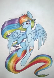 Size: 1024x1475 | Tagged: safe, artist:dexterisse, rainbow dash, pegasus, pony, flying, simple background, solo, traditional art, wreath