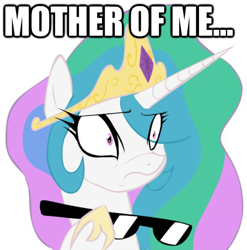 Size: 448x453 | Tagged: artist needed, safe, princess celestia, alicorn, pony, female, image macro, mare, mother of celestia, mother of god, mother of me, reaction image, simple background, solo, sunglasses