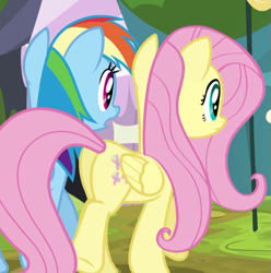 Size: 555x560 | Tagged: safe, screencap, fluttershy, rainbow dash, pegasus, pony, trade ya, cropped, female, mare, plot