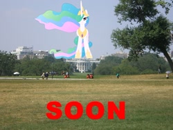 Size: 500x375 | Tagged: safe, princess celestia, giantess, giantlestia, image macro, irl, macro, meme, photo, ponies in real life, pony on earth, solo focus, soon, text, vector