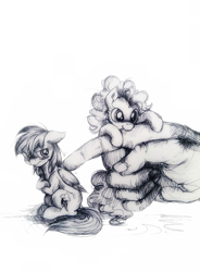 Size: 845x1150 | Tagged: safe, artist:buttersprinkle, pinkie pie, rainbow dash, earth pony, pegasus, pony, biting, blushing, cute, grumpy, hand, micro, monochrome, pen drawing, size difference, tiny, tiny ponies, traditional art