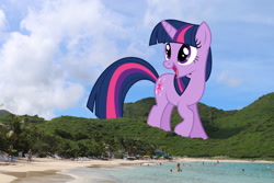 Size: 2100x1400 | Tagged: safe, artist:dashiesparkle, artist:theotterpony, twilight sparkle, pony, giant pony, giantess, highrise ponies, irl, macro, mega twilight sparkle, photo, ponies in real life, solo, tree, vector