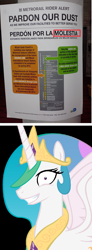 Size: 576x1560 | Tagged: safe, princess celestia, alicorn, pony, meme, meta, miami, princess molestia, random, spanish, unintended