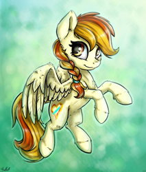 Size: 2586x3042 | Tagged: safe, artist:gaelledragons, oc, oc only, oc:little flame, pegasus, pony, braid, female, fluffy, flying, looking at you, mare, signature, solo, spread wings, unshorn fetlocks, wing fluff