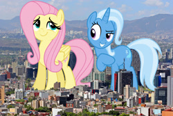 Size: 2500x1667 | Tagged: safe, artist:osipush, artist:sirwarluscake, artist:theotterpony, fluttershy, trixie, pegasus, pony, unicorn, female, giant pony, irl, lesbian, macro, mare, mexico city, photo, ponies in real life, shipping, trixieshy