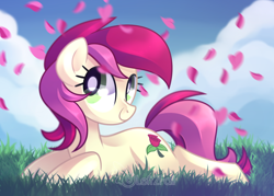 Size: 1280x914 | Tagged: safe, artist:drawntildawn, roseluck, pony, cloud, cute, flower petals, grass, prone, sky, smiling, solo, watermark