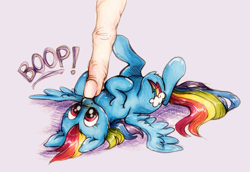 Size: 959x659 | Tagged: safe, artist:buttersprinkle, rainbow dash, human, pegasus, pony, boop, cute, dashabetes, female, finger, fluffy, hand, mare, micro, on back, shiny, size difference, smoldash, spread out hair, spread wings, tiny, tiny ponies, traditional art