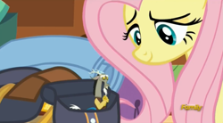 Size: 1673x923 | Tagged: safe, screencap, discord, fluttershy, pegasus, pony, dungeons and discords, micro