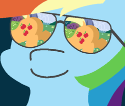 Size: 502x428 | Tagged: safe, artist:threetwotwo32232, applejack, rainbow dash, earth pony, pegasus, pony, appledash, dock, female, glasses, lesbian, looking at her butt, plot, reflection, shipping