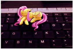 Size: 1730x1166 | Tagged: safe, artist:meewin, fluttershy, irl, keyboard, micro, photo, ponies in real life, prone, sleeping, solo, tiny ponies