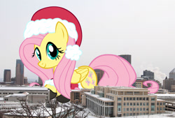 Size: 2000x1350 | Tagged: safe, artist:theotterpony, fluttershy, pegasus, pony, christmas, female, giant pony, hat, highrise ponies, irl, macro, mare, photo, ponies in real life, santa hat, smiling, solo