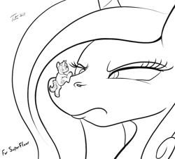 Size: 900x813 | Tagged: safe, artist:tsitra360, princess cadance, shining armor, alicorn, pony, unicorn, cadance is not amused, giantess, glare, macro, micro, monochrome, nostril flare, nostrils, size difference, sketch, unamused