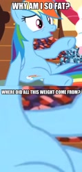 Size: 1494x3143 | Tagged: safe, screencap, rainbow dash, pegasus, pony, maud pie (episode), chubby, cute, dashabetes, weight gain