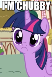 Size: 393x576 | Tagged: safe, edit, screencap, twilight sparkle, twilight sparkle (alicorn), alicorn, pony, pinkie pride, chubby, cute, female, image macro, inverted mouth, looking at you, mare, meme, sad, solo, this saddens, twiabetes, twiggy piggy