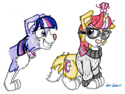 Size: 1500x1120 | Tagged: safe, artist:silversimba01, moondancer, twilight sparkle, dog, pony, unicorn, bordercollie, clothes, collar, cute, dancerbetes, dogified, female, fluffy, grin, smiling, species swap, squee, sweater, twiabetes