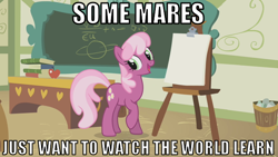 Size: 640x360 | Tagged: safe, cheerilee, all caps, batman, image macro, meme, parody, ponyville schoolhouse, solo, the dark knight