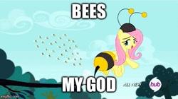 Size: 495x278 | Tagged: safe, derpibooru import, edit, edited screencap, screencap, fluttershy, bee, pegasus, pony, it ain't easy being breezies, animal costume, atop the fourth wall, batman, bee costume, bees my god, clothes, costume, female, flutterbee, linkara, mare