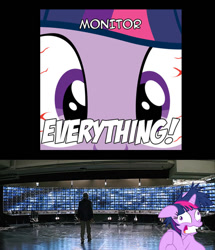 Size: 599x695 | Tagged: safe, twilight sparkle, human, batman, meme, monitor everything