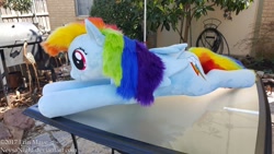 Size: 1024x576 | Tagged: safe, artist:neysanight, rainbow dash, female, irl, life size, photo, plushie, prone, solo