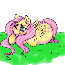 Size: 1000x1000 | Tagged: safe, artist:wulflovescake, fluttershy, pegasus, pony, chubby, female, mare, solo