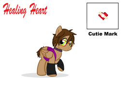 Size: 2380x1668 | Tagged: safe, artist:deltafairy, oc, oc only, pegasus, pony, brown mane, chubby, clothes, cute, cutie mark, fanart, female, glasses, green eyes, leg warmers, mare, short, short mane, short tail, socks, solo, text