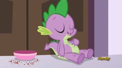 Size: 828x464 | Tagged: safe, screencap, spike, dragon, princess spike (episode), belly, bloated, bowl, chubby, crumbs, fat spike, solo, stuffed