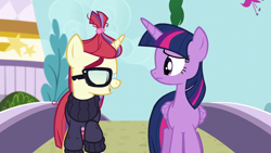 Size: 1280x720 | Tagged: safe, screencap, moondancer, twilight sparkle, twilight sparkle (alicorn), alicorn, amending fences, bridge, clothes, flower, glasses, ponytail, sweater