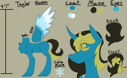 Size: 2576x1600 | Tagged: safe, artist:moonakart13, artist:moonaknight13, oc, oc only, alicorn, alicorn oc, chubby, coat markings, cutie mark, freckles, height, icy wings, reference sheet, solo, text