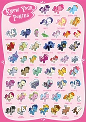 Size: 5031x7087 | Tagged: safe, artist:tinrobo, aloe, angel bunny, apple bloom, applejack, berry punch, berryshine, big macintosh, bon bon, braeburn, carrot cake, carrot top, cheerilee, cup cake, daisy, derpy hooves, diamond tiara, dj pon-3, doctor whooves, flower wishes, fluttershy, gilda, golden harvest, granny smith, gummy, hoity toity, horte cuisine, lily, lily valley, little strongheart, lotus blossom, lyra heartstrings, mayor mare, nightmare moon, octavia melody, photo finish, pinkie pie, prince blueblood, princess celestia, princess luna, rainbow dash, rarity, roseluck, sapphire shores, savoir fare, scootaloo, silver spoon, snails, snips, soarin', spike, spitfire, sweetie belle, sweetie drops, trixie, twilight sparkle, twist, vinyl scratch, zecora, alicorn, buffalo, dragon, earth pony, griffon, pegasus, pony, unicorn, zebra, absurd resolution, chart, clothes, costume, cupcake, cutie mark crusaders, flower trio, food, male, mane seven, mane six, needs more jpeg, ponycon, poster, s1 luna, shadowbolts, shadowbolts costume, spa twins, stallion, wall of tags