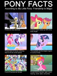 Size: 960x1280 | Tagged: safe, edit, edited screencap, screencap, ace, aloe, angel bunny, apple bloom, applejack, berry punch, berryshine, bon bon, carrot top, chief thunderhooves, derpy hooves, descent, diamond tiara, dj pon-3, fluttershy, frederic horseshoepin, gilda, golden harvest, hoity toity, lotus blossom, lyra heartstrings, manny roar, mayor mare, minuette, nightshade, octavia melody, opalescence, photo finish, pinkie pie, prince blueblood, quarterback, rainbow dash, rarity, sapphire shores, scootaloo, score, silver spoon, snails, snips, soarin', spike, spitfire, steven magnet, sweetie drops, trixie, twilight sparkle, twist, vinyl scratch, dragon, earth pony, griffon, manticore, pegasus, pony, unicorn, feeling pinkie keen, green isn't your color, hearts and hooves day (episode), the best night ever, ace point, caption, chart, clothes, costume, facts, female, hearts and hooves day, long neck, male, mare, pinkie sense, royal guard, shadowbolts, shadowbolts costume