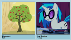 Size: 538x307 | Tagged: safe, bloomberg, dj pon-3, vinyl scratch, pony, unicorn, apple, bloomscratch, cutie mark, female, food, horn, mare, meme, shipping, shipyard lulz, smiling, solo, sunglasses, teeth, text, tree, vector