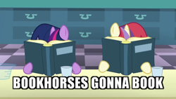 Size: 640x360 | Tagged: safe, edit, edited screencap, screencap, moondancer, twilight sparkle, amending fences, book, bookhorse, caption, female, filly, image macro, impact font, meme, text