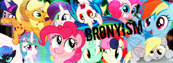 Size: 1278x472 | Tagged: safe, applejack, bon bon, derpy hooves, dj pon-3, fluttershy, lyra heartstrings, pinkie pie, princess celestia, rarity, sweetie drops, twilight sparkle, vinyl scratch, oc, alicorn, earth pony, pegasus, pony, unicorn, banner, bronyism, female, mare