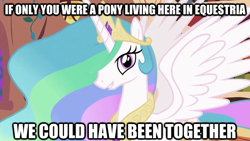 Size: 625x352 | Tagged: safe, princess celestia, alicorn, pony, bronybait, female, horn, image macro, mare, multicolored mane, solo, trollestia, white coat