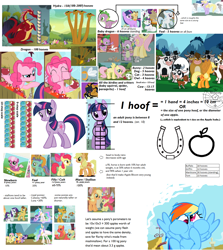 Size: 1360x1528 | Tagged: safe, angel bunny, apple bloom, applejack, basil, bessie, big macintosh, caramel, cheerilee, cotton cloudy, daisy jo, dinky hooves, fluttershy, opalescence, owlowiscious, pinkie pie, princess celestia, rainbow dash, rarity, snails, snips, spike, twilight sparkle, winona, alicorn, cow, dragon, earth pony, hydra, parasprite, pegasus, pony, spider, unicorn, analysis, cyan skies, male, multiple heads, size chart, size comparison, stallion, udder