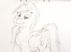 Size: 1338x980 | Tagged: safe, artist:mewliciousness, oc, oc:joycie, pegasus, pony, chubby, cute, derp, female, mare, paper, solo, traditional art