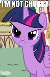 Size: 427x655 | Tagged: safe, edit, edited screencap, screencap, twilight sparkle, twilight sparkle (alicorn), alicorn, pony, pinkie pride, angry, chubby, cropped, cute, denial, image macro, inverted mouth, madorable, meme, reaction image, solo, text, twiabetes