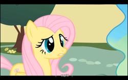 Size: 1024x640 | Tagged: safe, screencap, fluttershy, princess celestia, alicorn, pegasus, pony, a bird in the hoof, cupid, youtube caption