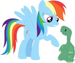 Size: 3547x2992 | Tagged: safe, artist:porygon2z, rainbow dash, tank, pegasus, pony, tortoise, chubby, no shell