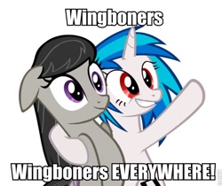 Size: 692x580 | Tagged: safe, dj pon-3, octavia melody, vinyl scratch, earth pony, pony, magical mystery cure, image macro, wingboner, x x everywhere