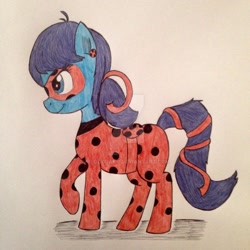 Size: 1024x1024 | Tagged: safe, artist:shinycyan, derpibooru import, pony, miraculous ladybug, ponified, solo, traditional art, watermark