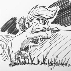 Size: 1080x1087 | Tagged: safe, artist:shinycyan, derpibooru import, scootaloo, pegasus, pony, climbing, female, filly, ink drawing, inktober, monochrome, sketch, solo, stairs, sweat, sweatdrop, traditional art