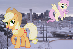 Size: 1280x852 | Tagged: safe, artist:90sigma, artist:laczkour, artist:logan859, applejack, fluttershy, earth pony, pony, colorado, denver, giant pony, highrise ponies, irl, macro, photo, ponies in real life