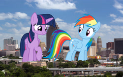 Size: 3200x2000 | Tagged: safe, artist:dashiesparkle, artist:slb94, artist:theotterpony, rainbow dash, twilight sparkle, twilight sparkle (alicorn), alicorn, pegasus, pony, female, giant pony, irl, macro, mare, photo, raised hoof, san antonio, smiling, story in the source, texas