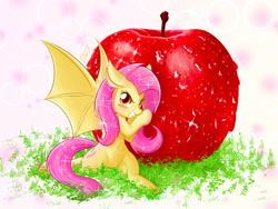 Size: 2000x1500 | Tagged: safe, artist:phoenixperegrine, fluttershy, bat pony, pony, apple, flutterbat, food, giant apple, grin, looking at you, micro, race swap, sitting, smiling, solo, sparkles, spread wings, wings