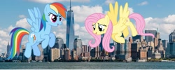 Size: 1959x780 | Tagged: safe, artist:jawsandgumballfan24, fluttershy, rainbow dash, pony, empire state building, giant pony, irl, macro, new york city, one world trade center, photo, ponies in real life, skyscraper